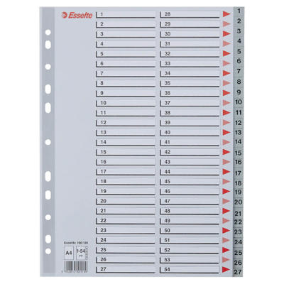 Plastregister Esselte A4 1-54 m/forblad grå