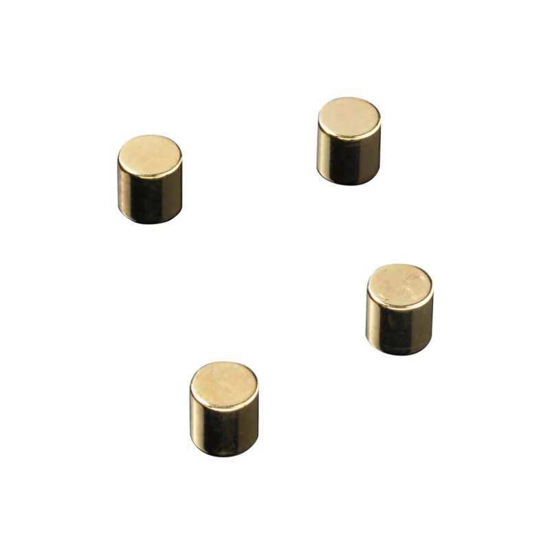 Magneter Naga cylinder guld-stål 10x10mm 4stk/pak