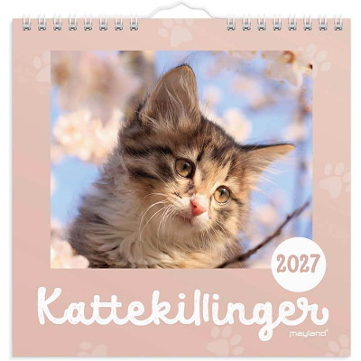 Vægkalender Kattekillinger 2027 Mayland