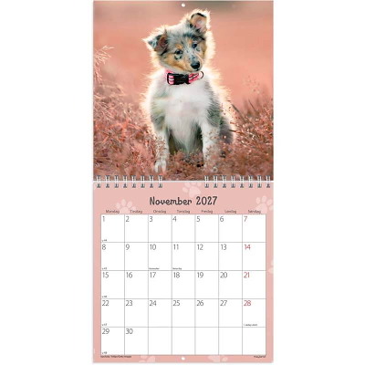 Vægkalender Hundehvalpe 2027 Mayland