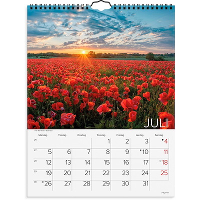 Vægkalender Dansk natur 2027 Mayland