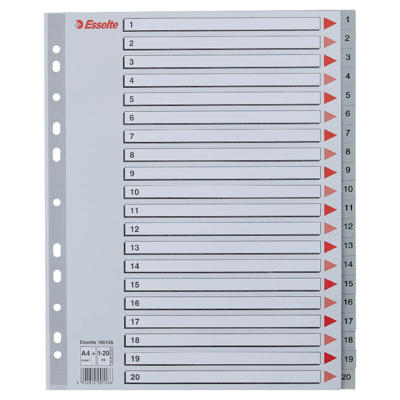 Register Esselte A4 1-20 Maxi 100126