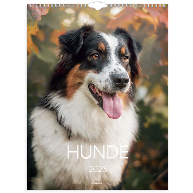 Vægkalender Hunde 2026