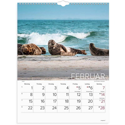 Vægkalender Verdens dyr 2027 Mayland