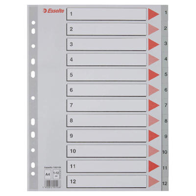 Plastregister Esselte A4 1-12 grå m/kartonforblad 100106