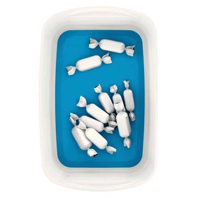 Opbevaringsbakke Leitz MyBox hvid/blå