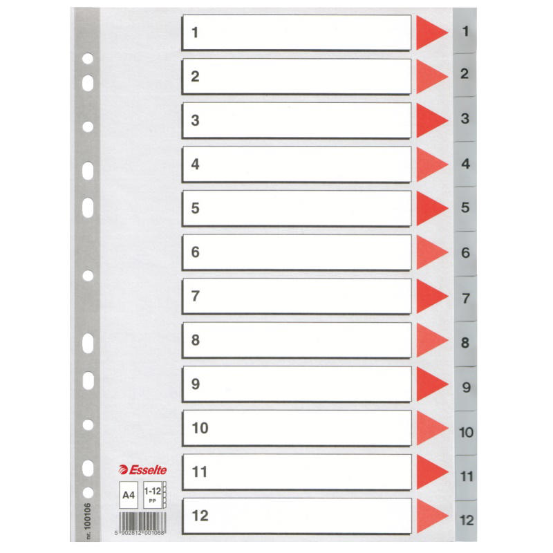 Plastregister Esselte A4 1-12 grå m/kartonforblad 100106