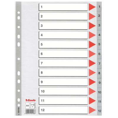 Plastregister Esselte A4 1-12 grå m/kartonforblad 100106