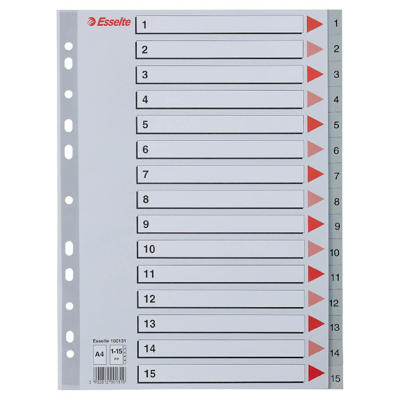 Plastregister Esselte A4 1-15 m/forblad grå
