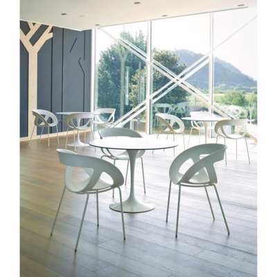 Havestol Gaber Moema