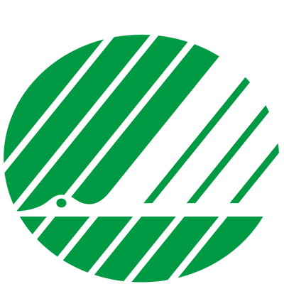 Printer laser Brother HL-L2865DW S/H duplex wireless