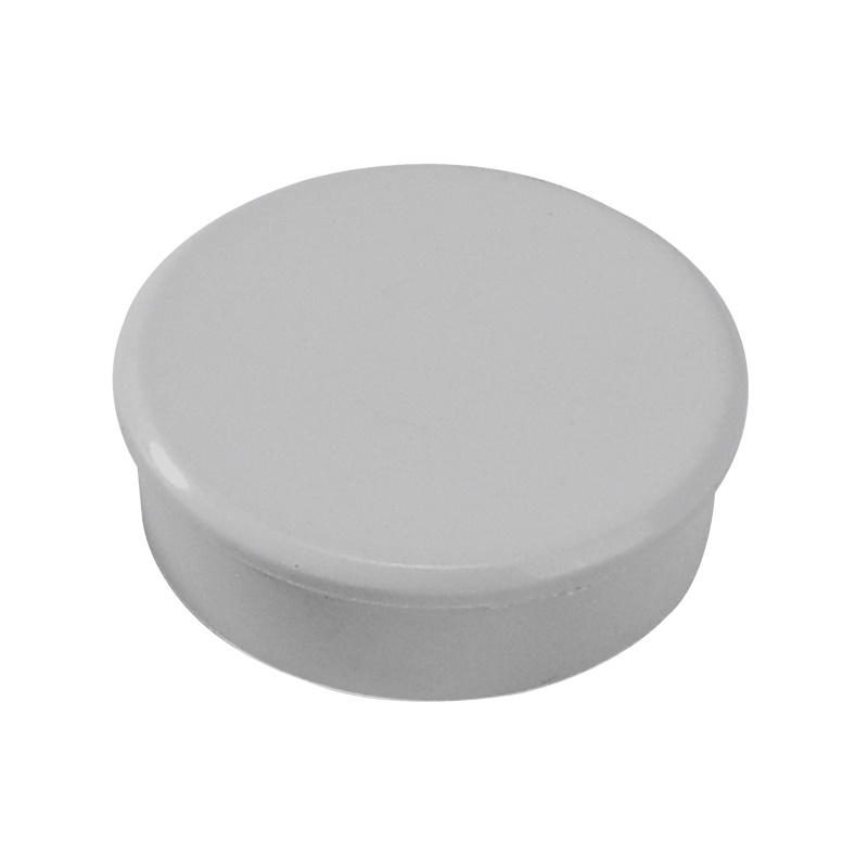 Magneter Dahle 38mm rund grå 10stk/pk 2,5kg bærekraft