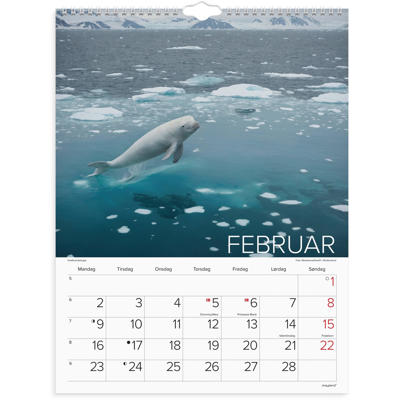 Vægkalender Verdens dyr 2026