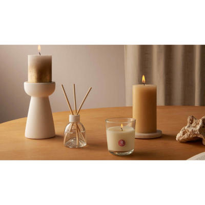 Duftpinde True Scents 60ml pk./6