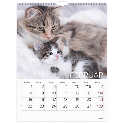 Vægkalender Katte 2027 Mayland