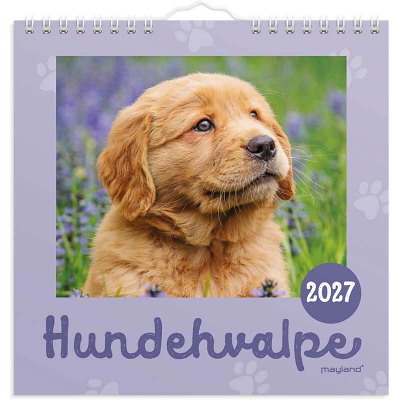 Vægkalender Hundehvalpe 2027 Mayland