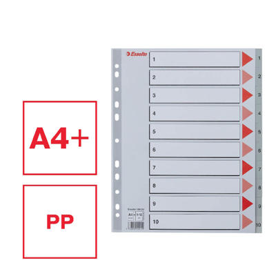 Plastregister Esselte 1-10 Maxi grå A4 m/kartonforblad