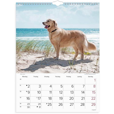 Vægkalender Hunde 2027 Mayland