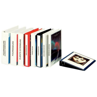 Hobbymappe Esselte A4 4RR/16 mm 49700