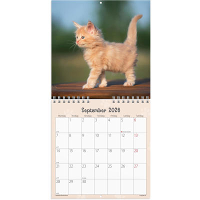 Vægkalender mini Kattekillinger 2026