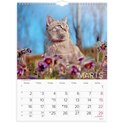 Vægkalender Katte 2026