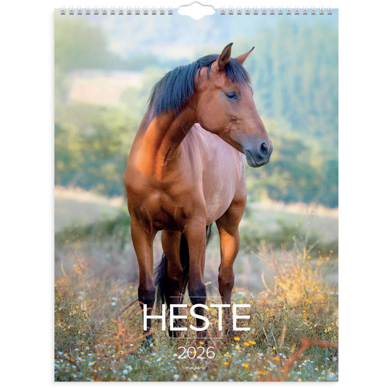 Vægkalender Heste 2026