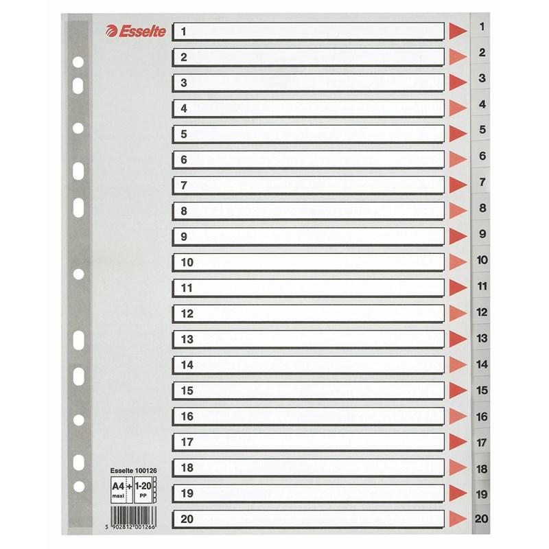 Register Esselte A4 1-20 Maxi 100126