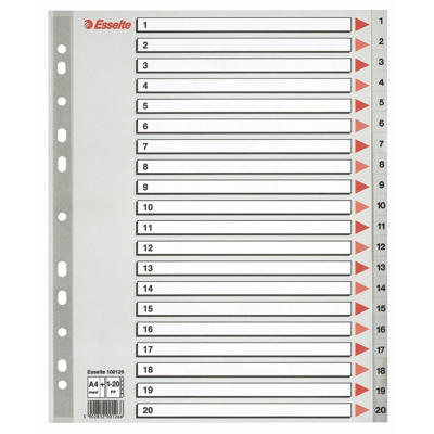 Register Esselte A4 1-20 Maxi 100126