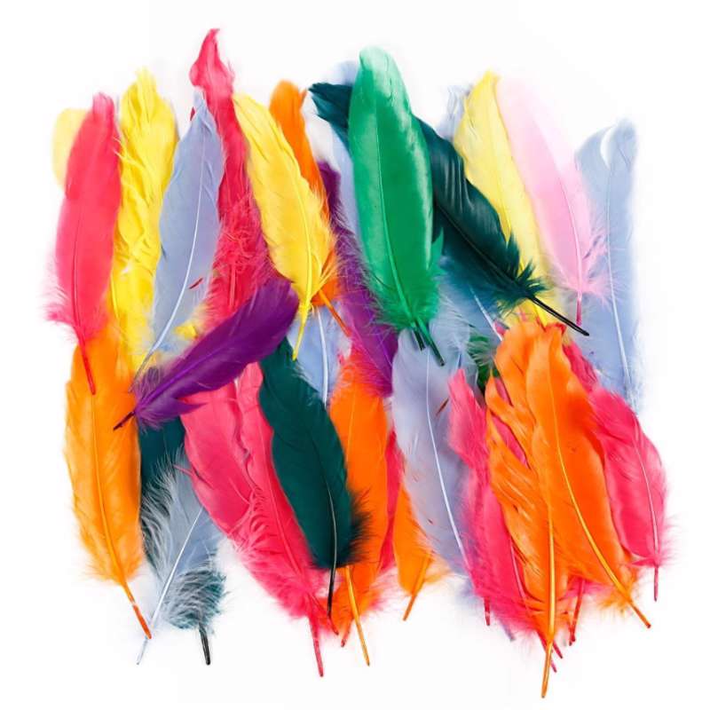 Indianerfjer Creas ass. farver /350