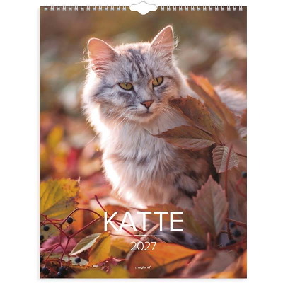 Vægkalender Katte 2027 Mayland