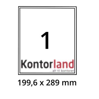Etiketter Xerox label 199,6x289,0mm 003R91225 100ark/pk