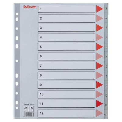 Plastregister Esselte A4 Maxi 1-12 m/forblad grå