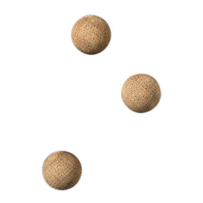 Magnet Superstærk Naga rund egetræ Ø2cm 3stk./pk