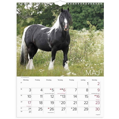 Vægkalender Heste 2027 Mayland