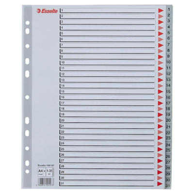 Plastregister Esselte A4 Maxi 1-31 m/forblad grå
