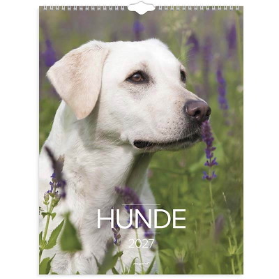 Vægkalender Hunde 2027 Mayland